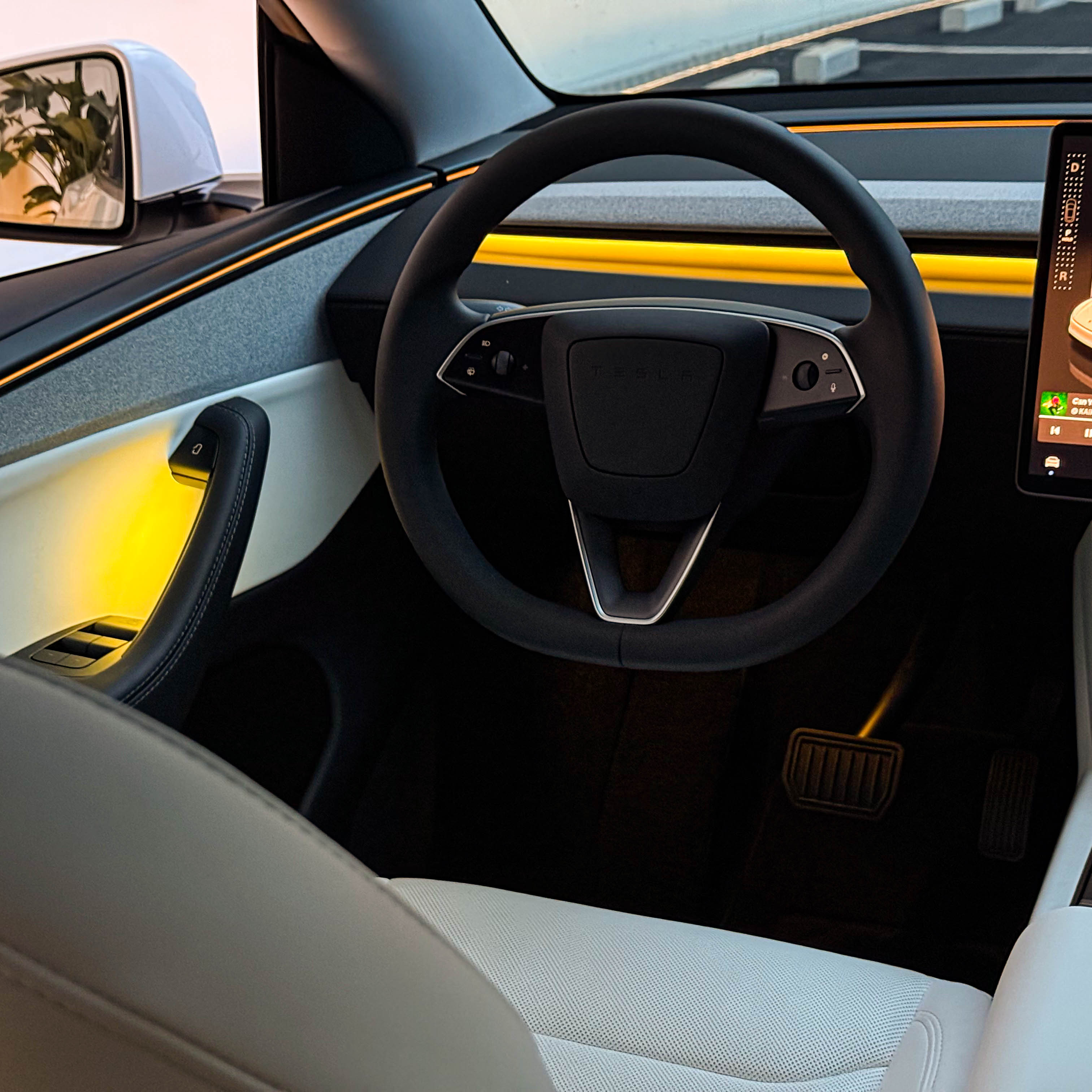 Tesla Highland & Juniper Ambient Lighting Kit | OEM Style RGB Interior LED Lights | Plug & Play DIY Interior Upgrade