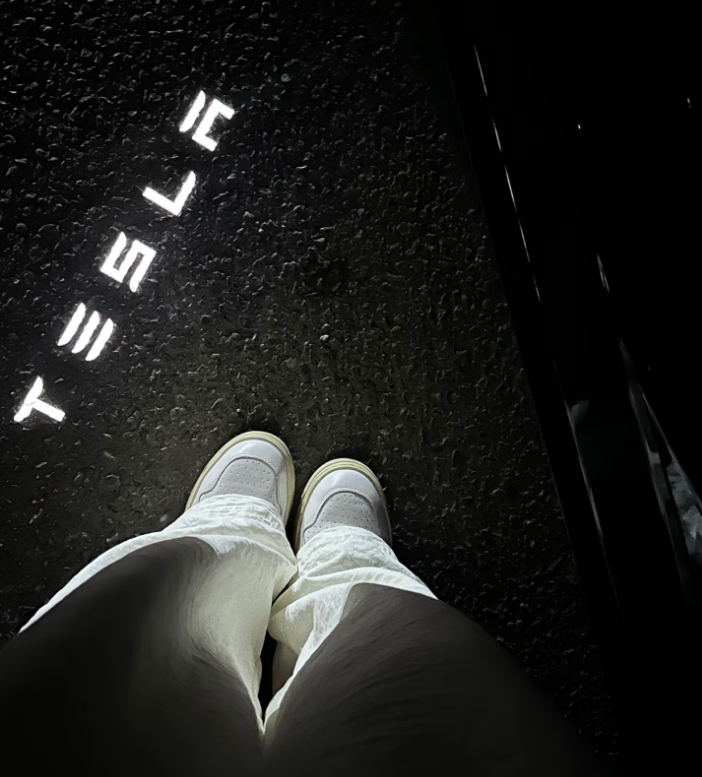 LightingBugTech Tesla Model 3&Y Ambient Door LED Projector Plug-in (2019-2024)