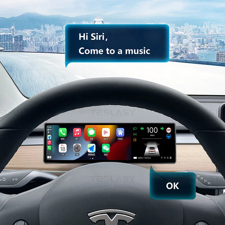 LightingBugTech dashboard showing Tesla Model Y Model 3 Apple CarPlay display